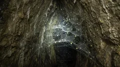 Prawdziwe "miasto pająków" odkryte w Europie - a jego populacja jest przerażająca!