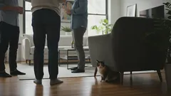 Dlaczego mój kot zawsze się chowa, gdy przychodzą goście?