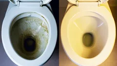 Jak szybko i tanio wyczyścić toaletę bez chemii – trik z kuchni, który działa