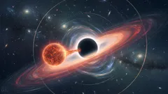 Jak gwiazda przetrwała śmiertelne spotkanie z czarną dziurą