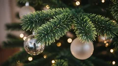 Na co zwrócić uwagę przy wyborze sztucznej choinki do domu