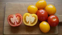 Pomidory w kuchni: kolor ma znaczenie – sprawdź, jak go wykorzystać