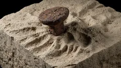 We Francji dokonano zdumiewającego odkrycia, które nie pasuje do oficjalnej historii.